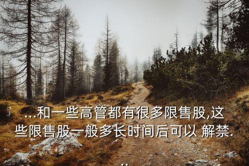 ...和一些高管都有很多限售股,這些限售股一般多長時間后可以 解禁...