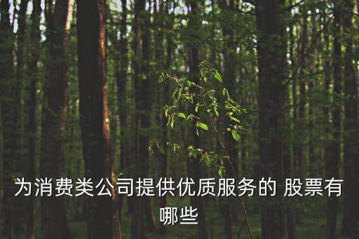 為消費類公司提供優(yōu)質(zhì)服務的 股票有哪些