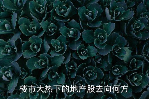 上海土地最多的上市公司,擁有大量土地的農業(yè)上市公司
