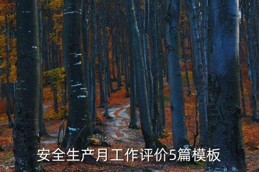 安全生產月工作評價5篇模板