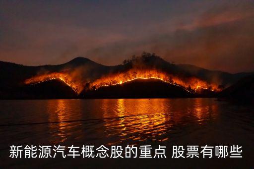新能源汽車概念股的重點 股票有哪些