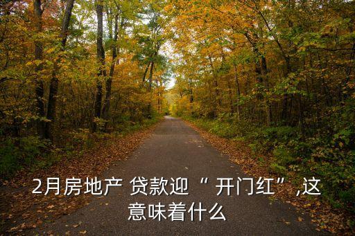 2月房地產(chǎn) 貸款迎“ 開門紅”,這意味著什么