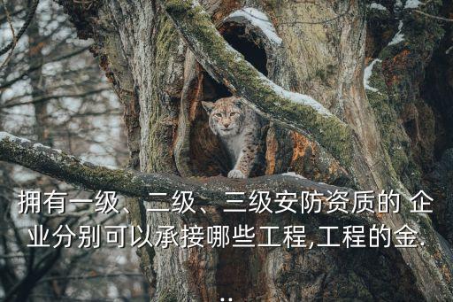 擁有一級、二級、三級安防資質(zhì)的 企業(yè)分別可以承接哪些工程,工程的金...