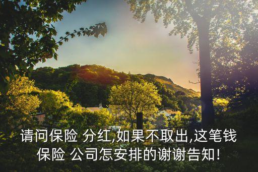 請問保險(xiǎn) 分紅,如果不取出,這筆錢保險(xiǎn) 公司怎安排的謝謝告知!