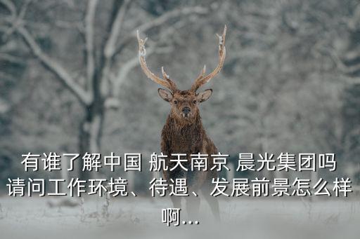 有誰(shuí)了解中國(guó) 航天南京 晨光集團(tuán)嗎請(qǐng)問工作環(huán)境、待遇、發(fā)展前景怎么樣啊...