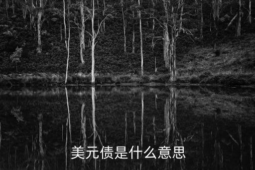  美元債是什么意思