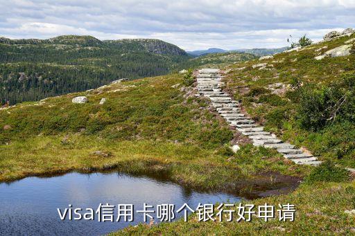visa信用卡哪個(gè)銀行好申請