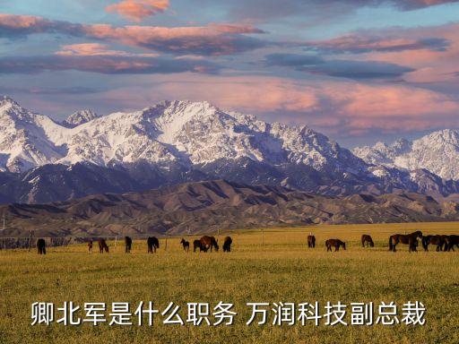 深圳市萬潤集團,煙臺開發(fā)區(qū)萬潤集團