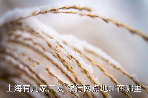 上海有幾家廣發(fā) 銀行網(wǎng)點地址在哪里