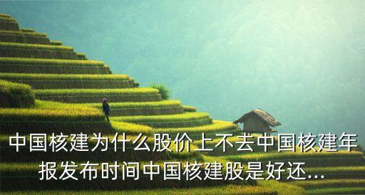 中國(guó)核建為什么股價(jià)上不去中國(guó)核建年報(bào)發(fā)布時(shí)間中國(guó)核建股是好還...