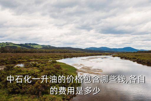 中國(guó)石油汽油價(jià)格