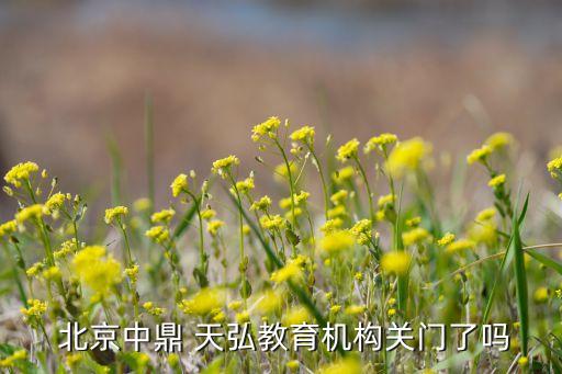  北京中鼎 天弘教育機(jī)構(gòu)關(guān)門了嗎