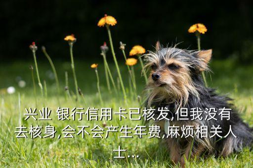  興業(yè) 銀行信用卡已核發(fā),但我沒有去核身,會不會產(chǎn)生年費(fèi),麻煩相關(guān)人士...