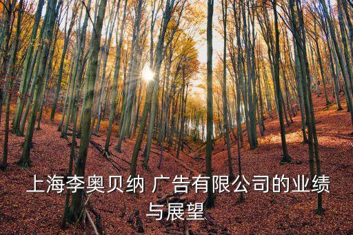 上海李?yuàn)W貝納 廣告有限公司的業(yè)績(jī)與展望