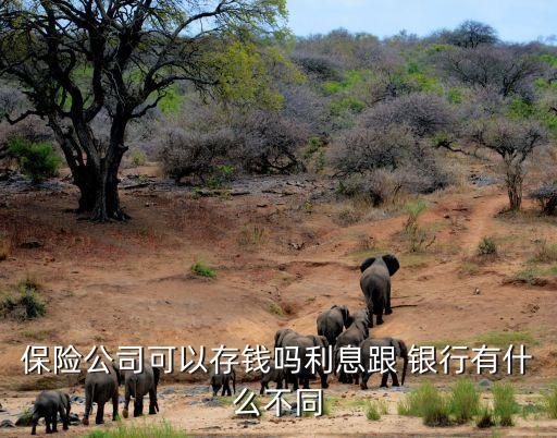 保險(xiǎn)公司可以存錢嗎利息跟 銀行有什么不同