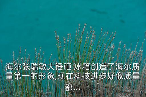 海爾集團砸冰箱視頻下載