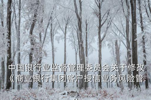  中國(guó)銀行業(yè)監(jiān)督管理委員會(huì)關(guān)于修改《商業(yè)銀行集團(tuán)客戶授信業(yè)務(wù)風(fēng)險(xiǎn)管...