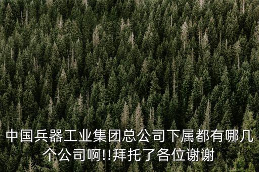 中國兵器工業(yè)集團總公司下屬都有哪幾個公司啊!!拜托了各位謝謝