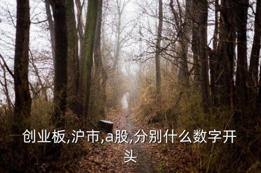 創(chuàng)業(yè)板,滬市,a股,分別什么數(shù)字開(kāi)頭