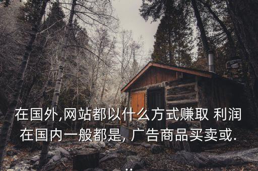在國(guó)外,網(wǎng)站都以什么方式賺取 利潤(rùn)在國(guó)內(nèi)一般都是, 廣告商品買賣或...