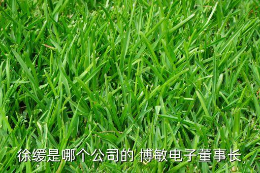 徐緩是哪個(gè)公司的 博敏電子董事長(zhǎng)