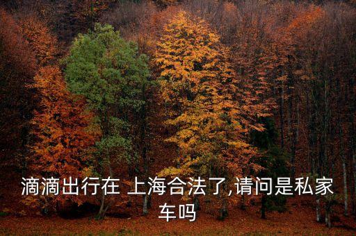 上海查專車,上海專車價格表