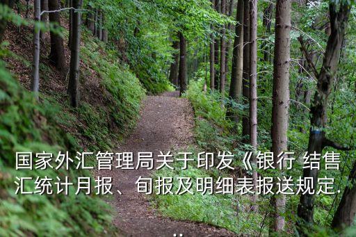 國家外匯管理局關于印發(fā)《銀行 結售匯統(tǒng)計月報、旬報及明細表報送規(guī)定...