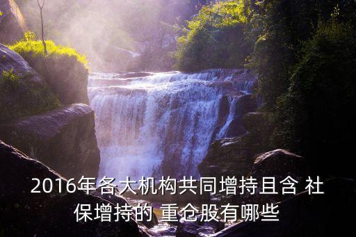 社?；鹬貍}股一覽,2023年社?；鹬貍}股