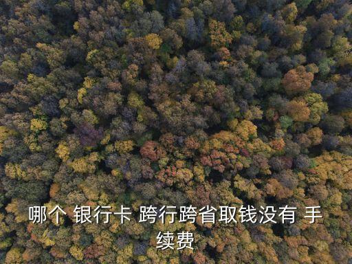 哪個(gè) 銀行卡 跨行跨省取錢沒有 手續(xù)費(fèi)