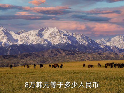 8萬韓元等于多少人民幣