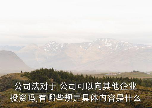  公司法對(duì)于 公司可以向其他企業(yè) 投資嗎,有哪些規(guī)定具體內(nèi)容是什么