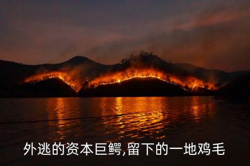 江南春股權投資,投資人江南春
