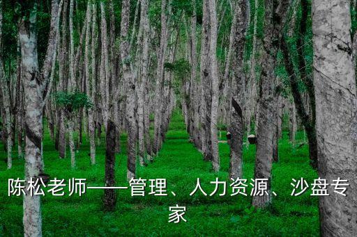 陳松老師——管理、人力資源、沙盤專家