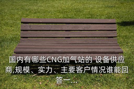 國內有哪些CNG加氣站的 設備供應商,規(guī)模、實力、主要客戶情況誰能回答一...