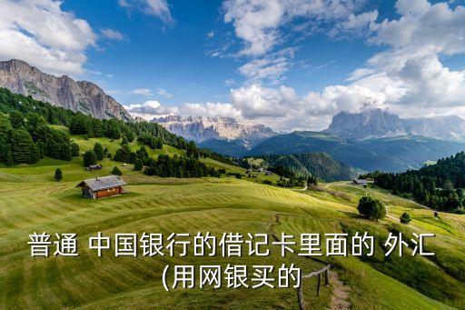 普通 中國(guó)銀行的借記卡里面的 外匯(用網(wǎng)銀買的