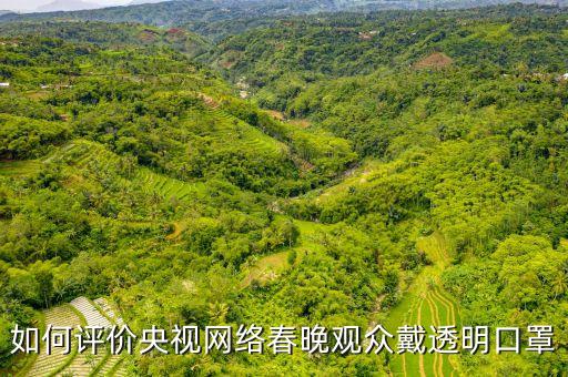 如何評價(jià)央視網(wǎng)絡(luò)春晚觀眾戴透明口罩