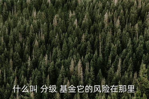 分級(jí)基金的子基金,富國基金國企改革分級(jí)基金