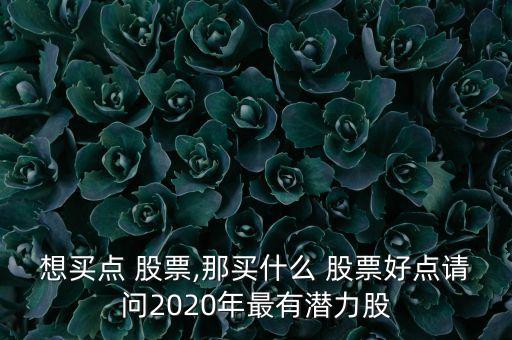 想買(mǎi)點(diǎn) 股票,那買(mǎi)什么 股票好點(diǎn)請(qǐng)問(wèn)2020年最有潛力股