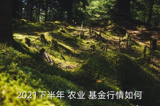 2021下半年 農業(yè) 基金行情如何