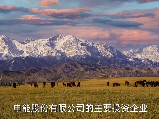上海申能臨港發(fā)電廠(chǎng),安徽淮北申能發(fā)電廠(chǎng)