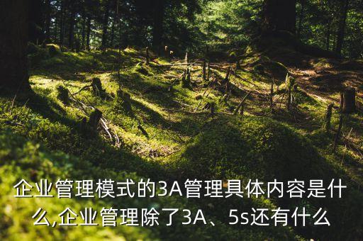企業(yè)管理模式的3A管理具體內(nèi)容是什么,企業(yè)管理除了3A、5s還有什么