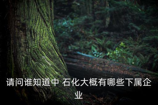 請(qǐng)問誰(shuí)知道中 石化大概有哪些下屬企業(yè)