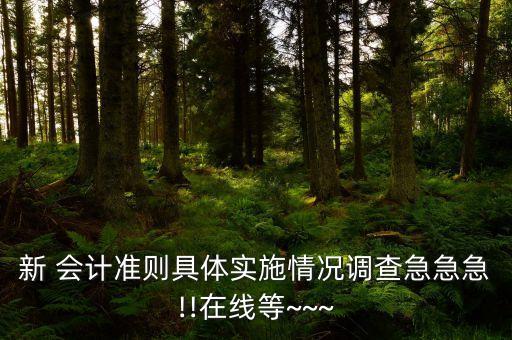 安徽煤炭上市公司會計政策選擇的調(diào)查分析