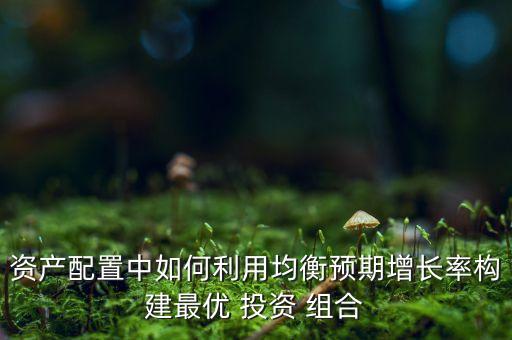 資產(chǎn)配置中如何利用均衡預(yù)期增長率構(gòu)建最優(yōu) 投資 組合