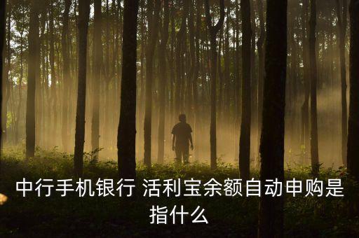 中行手機(jī)銀行 活利寶余額自動(dòng)申購是指什么