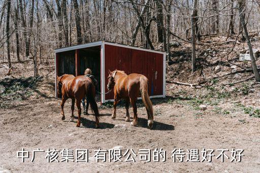 中廣核集團 有限公司的 待遇好不好