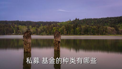 私募股權(quán)投資基金名單,不動產(chǎn)私募股權(quán)投資基金