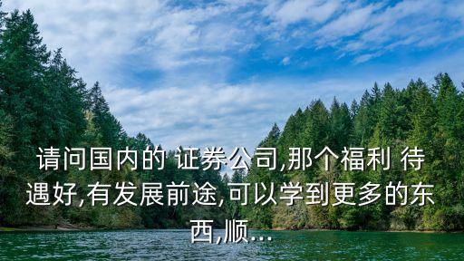 請問國內(nèi)的 證券公司,那個福利 待遇好,有發(fā)展前途,可以學到更多的東西,順...