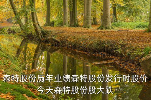 森特股份歷年業(yè)績森特股份發(fā)行時(shí)股價(jià)今天森特股份股大跌