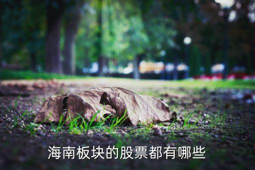 海口羅牛山小額貸款股份有限公司,?？谵r(nóng)工貿(mào)(羅牛山)股份有限公司